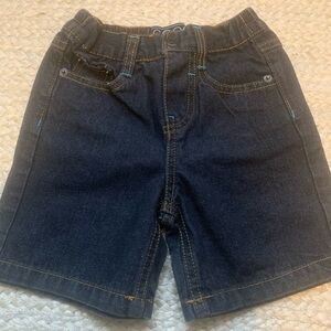 COOGI Dark Blue Kids Shorts with Gold Stitching